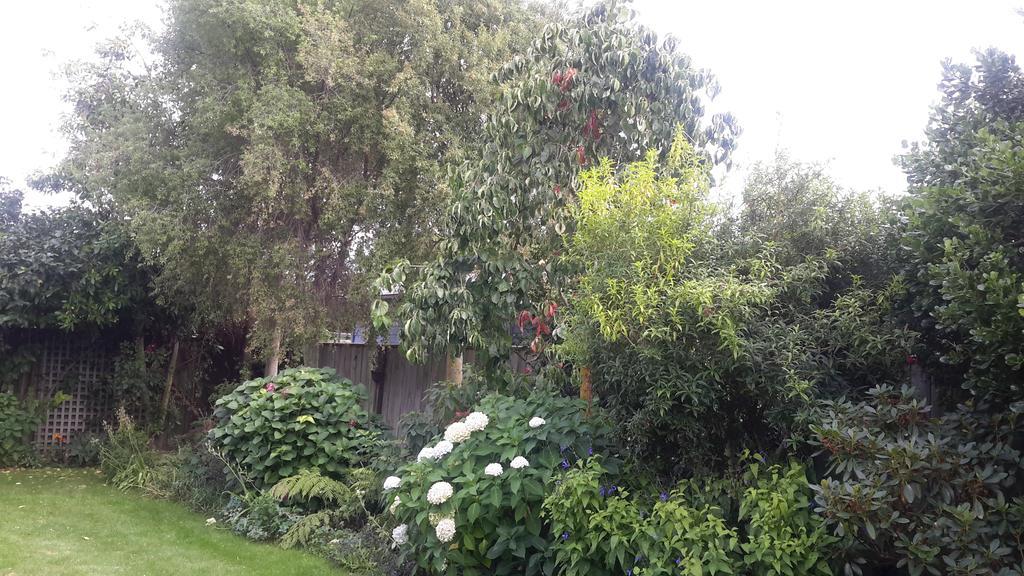 ביאנהיים Jade Bed & Breakfast מראה חיצוני תמונה